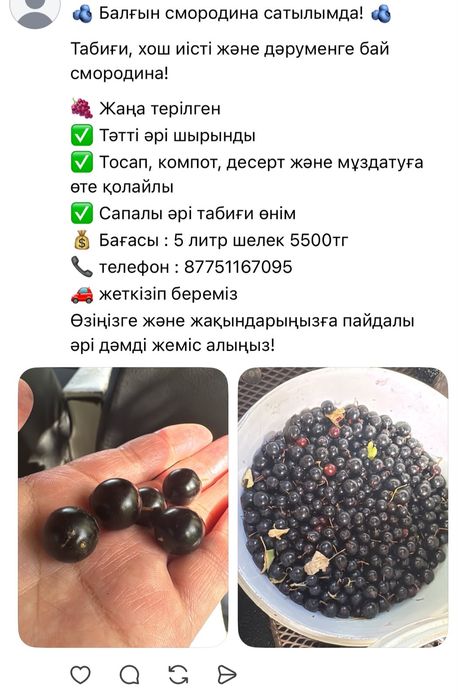Смородина  и ранетки свежие
