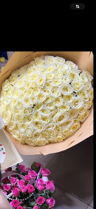 Продам цветы 101шт