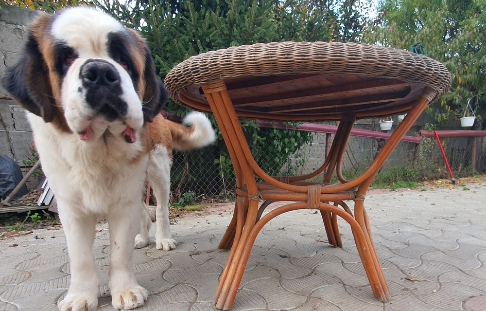 Masă rotundă pentru  grădină.