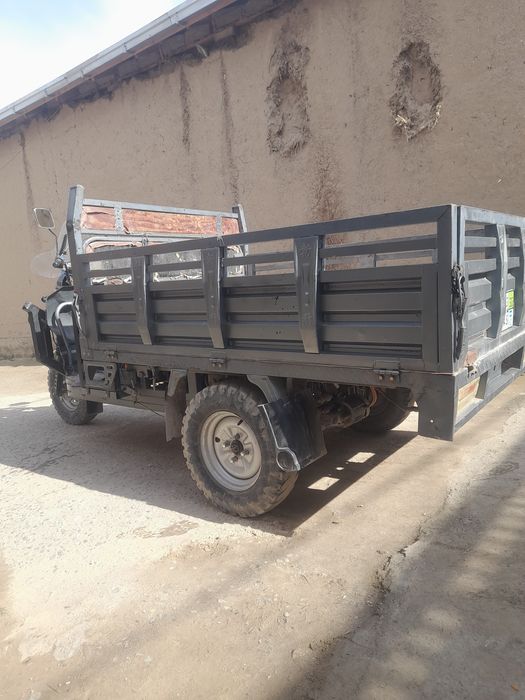 Продается муравей