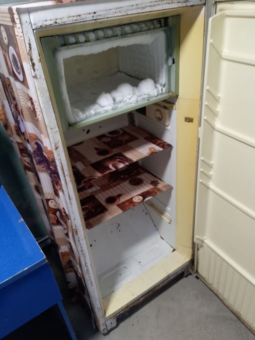 Haladilnik (rassiyski)