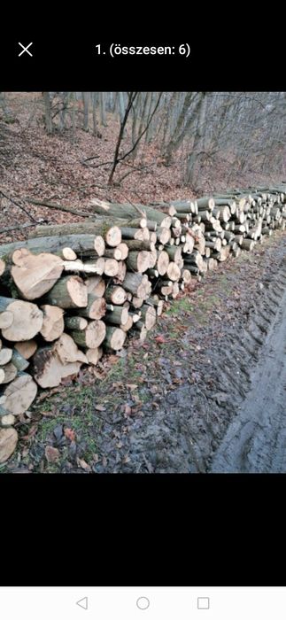 Lemne de foc esență