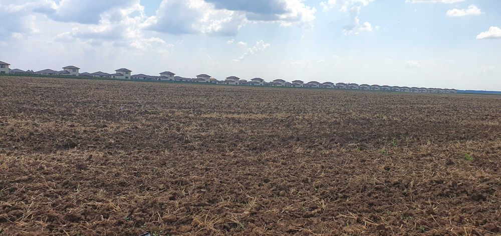 Vand teren 23300 mp Balotesti.