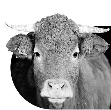 Мужской кепка из 100% натуральной кожи мужская шапка кожанная