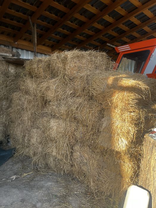 Vand baloti de lucerna