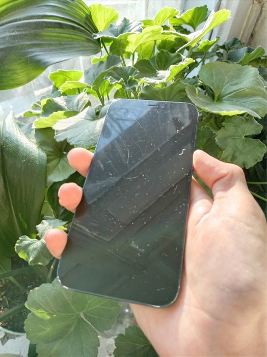 Продам iPhone 12