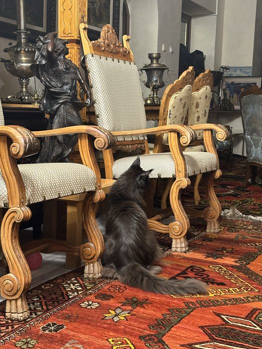 Шикарный гостиный гарнитур, дерево, дуб, резьба