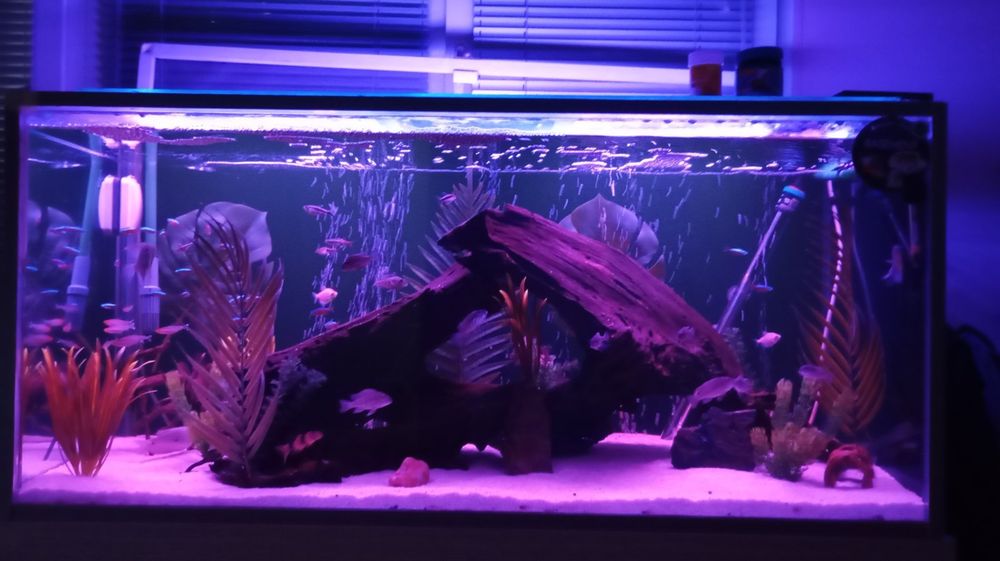 LED лампи за аквариуми/ Изработка по размер на  аквариума