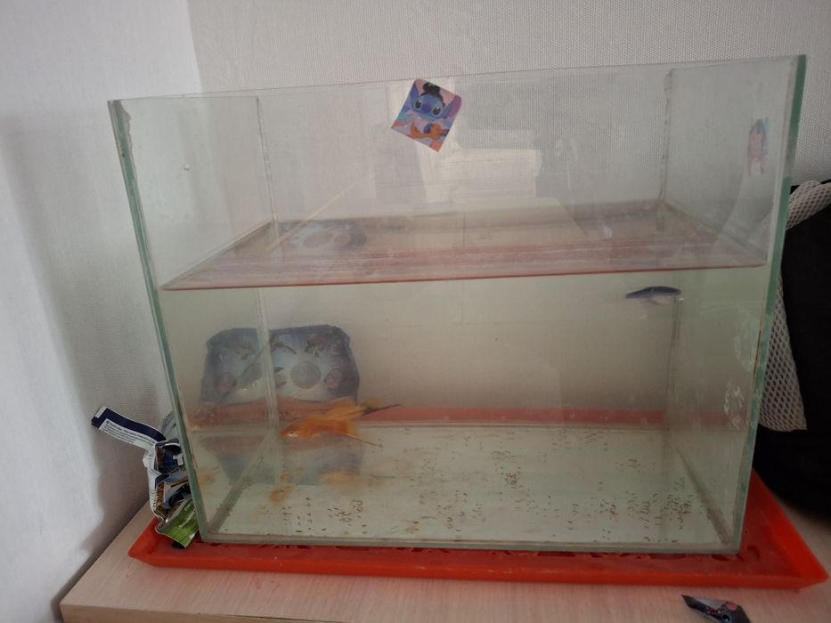 Аквариум с рыбками