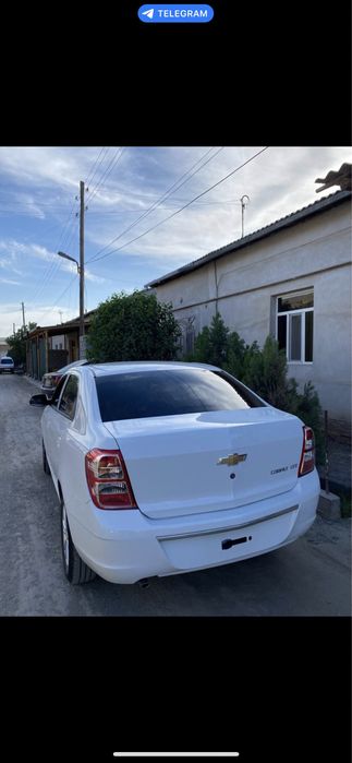 Кобалт стайл вариант бир кунлик урганчда