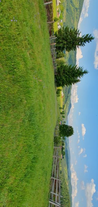 Teren de vânzare Arieșeni.