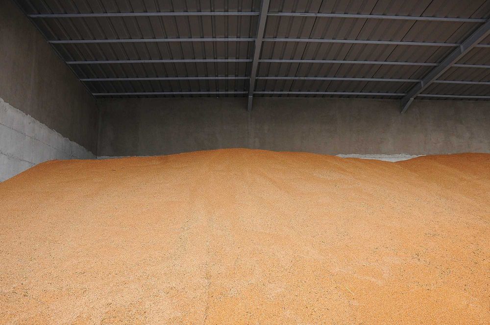 Porumb vrac/sac Grau Orz Ovaz Tarate Grau Floare Mazăre AmestecCereale