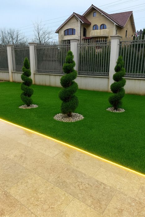 Gazon rulou 20 lei mp