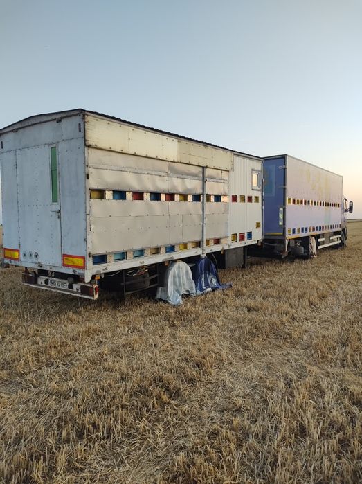 LICHIDEZ STUPINĂ Vând camion neomologt apicol, VOLVO și remorca  2 axe