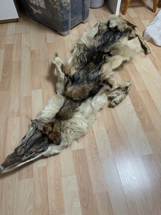 Лисица и вълк килимчета