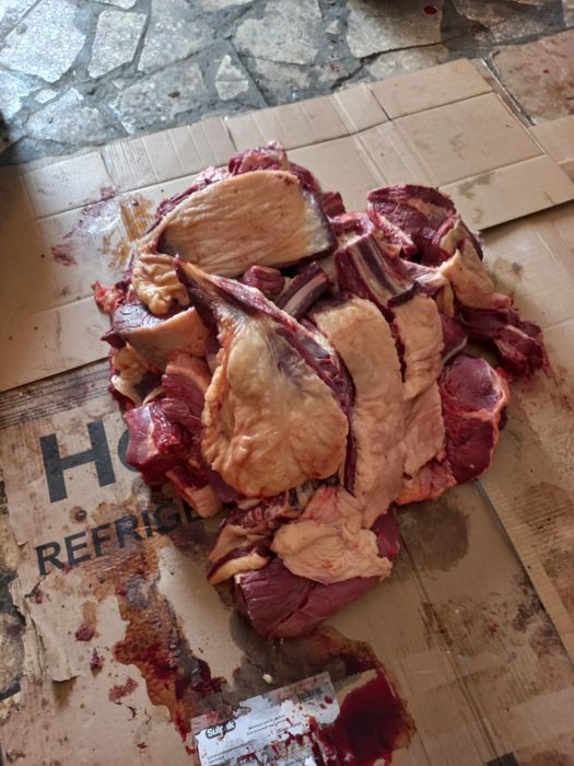 Мясо конины аяқтап