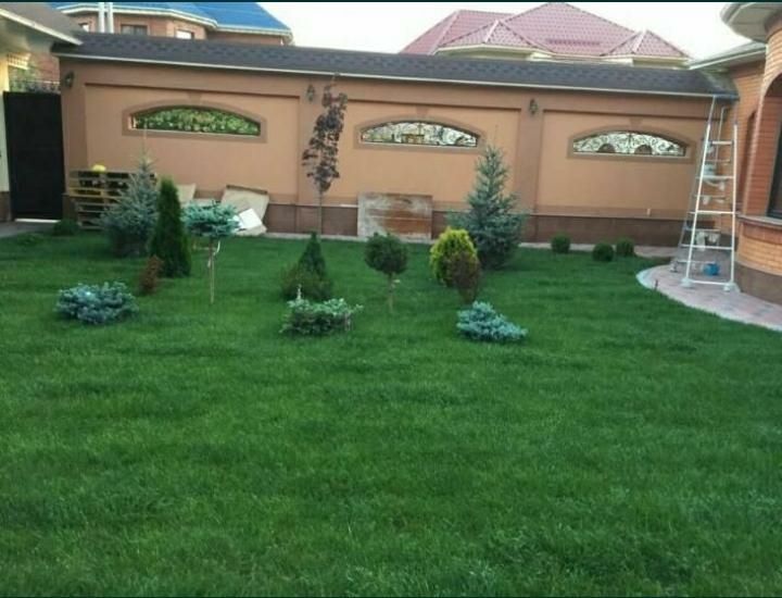 Автополив Газон Водапад Ланшаф