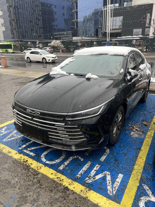 BYD CHAZOR 55km Luxe