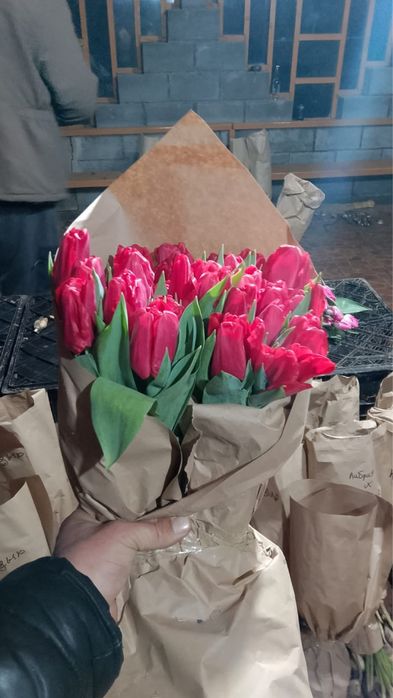 Цветы Тюльпан ОПТОВАЯ ЦЕНА