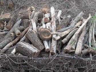 Отдам дрова бесплатно