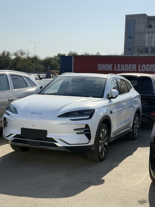 Byd Chempion nalichida