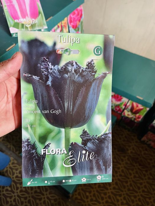 Луковичные растения Сортовые