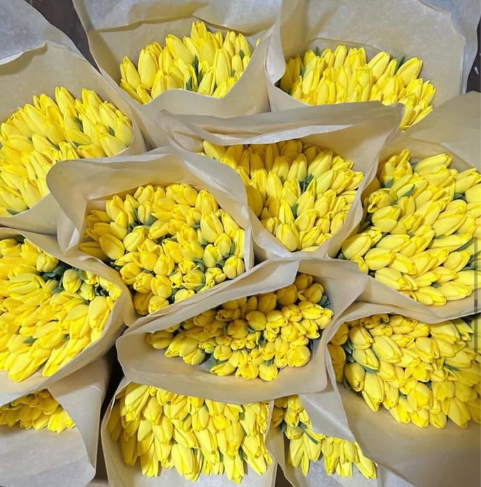 Тюльпаны оптом цена 450 тг