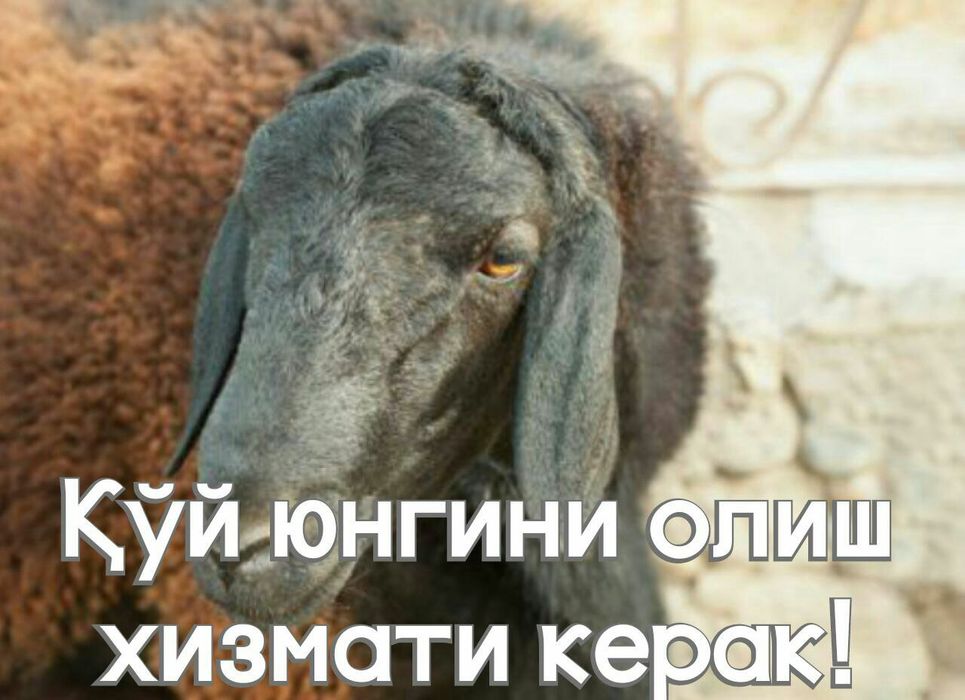 Sifatli va ishonchli xizmat