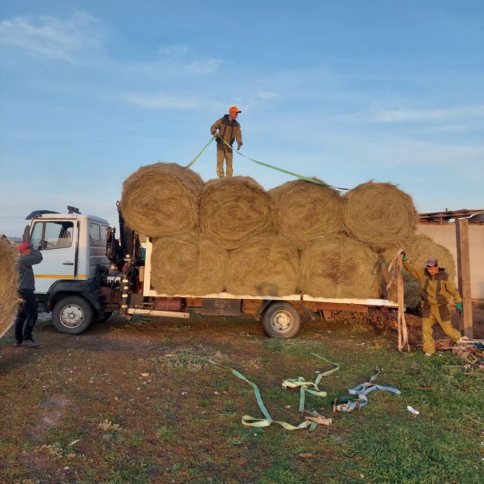 Услуги эвакуатора