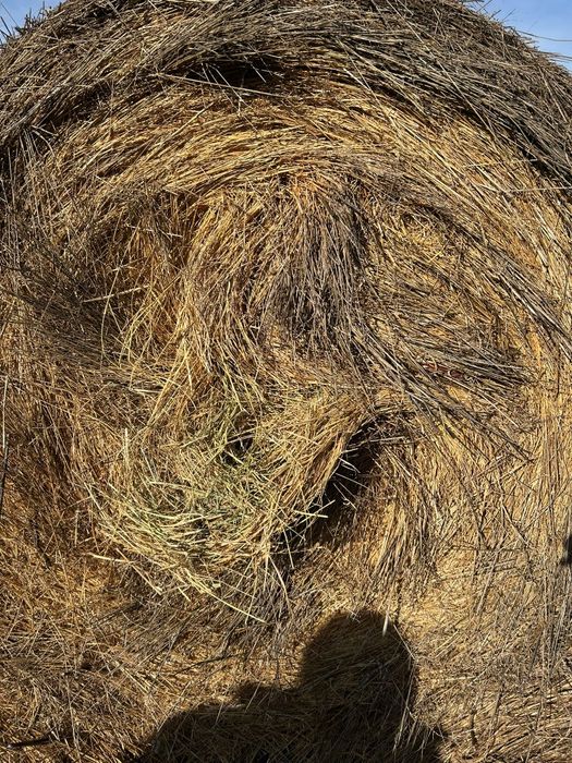 De vânzare Baloti de fân