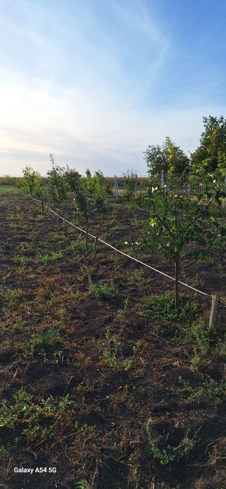 Vand teren 5000 mp sau schimb cu apartament