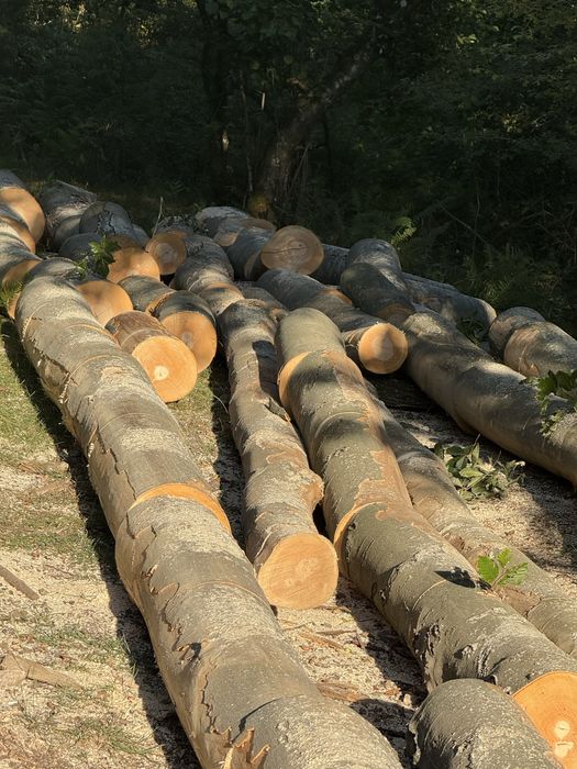 ‼️Lemne de foc de cea mai bună calitate