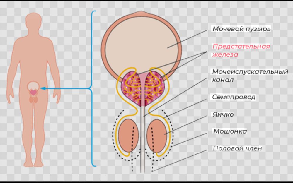 Астана .Масссаж Левый берег