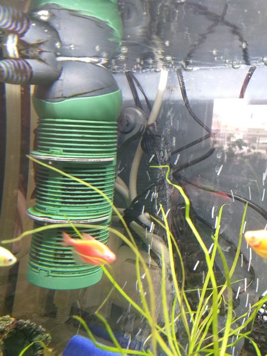 Аквариум 60 литра