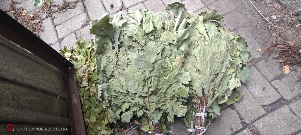 Продам веники для бани.