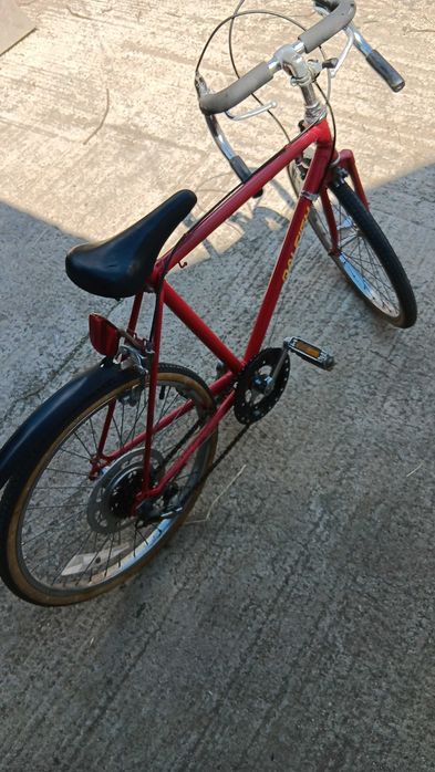 Semicursiera Raleigh