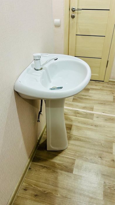 Раковина тюльпан