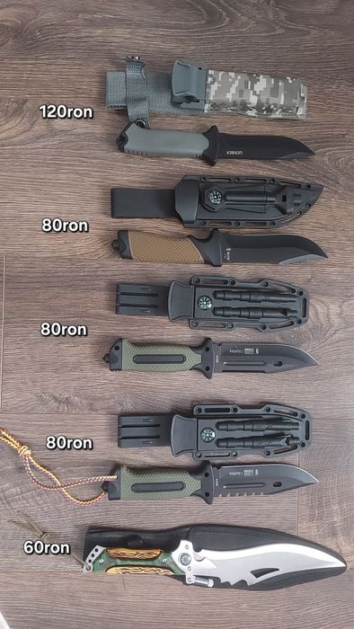 Briceaguri si cutite