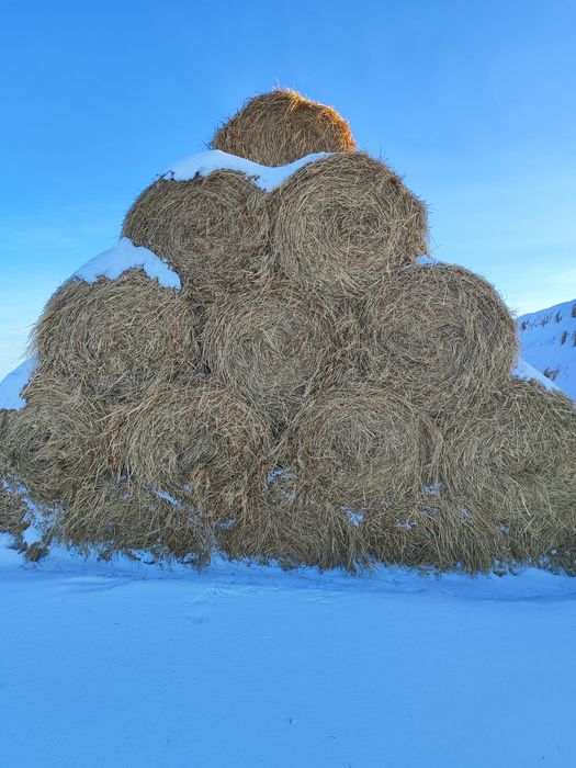 Продам сено рулоны лугавое