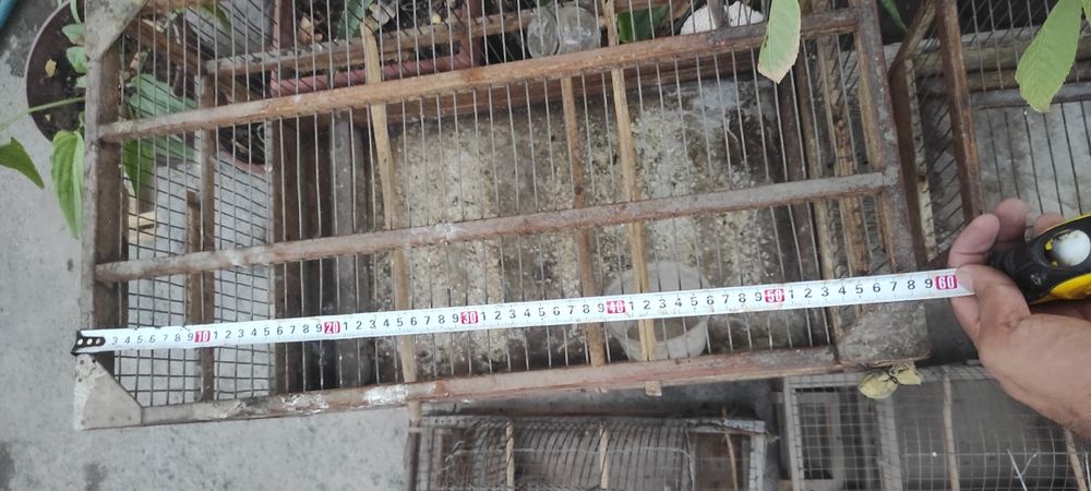 Клетка ,катаклар