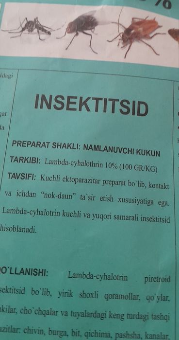 Таракан дорилари зури бизда сес ишлатадиган помогла бор