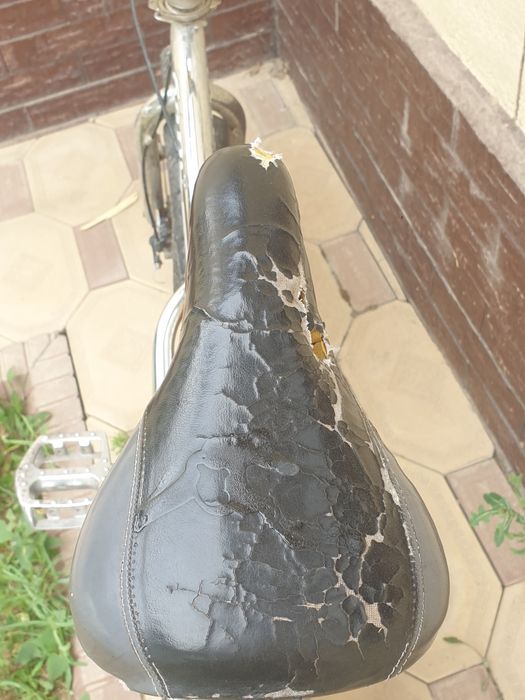 Велик сост 50/50