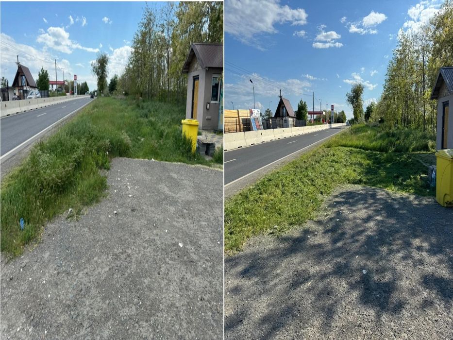Ofer servicii cosit cu motocoasă terenuri livezi ân Satu Mar
