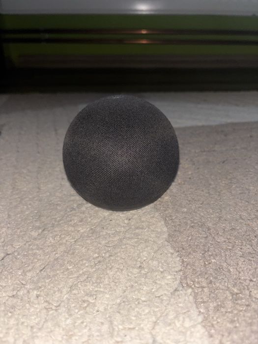 Alexa Echo Dot 5