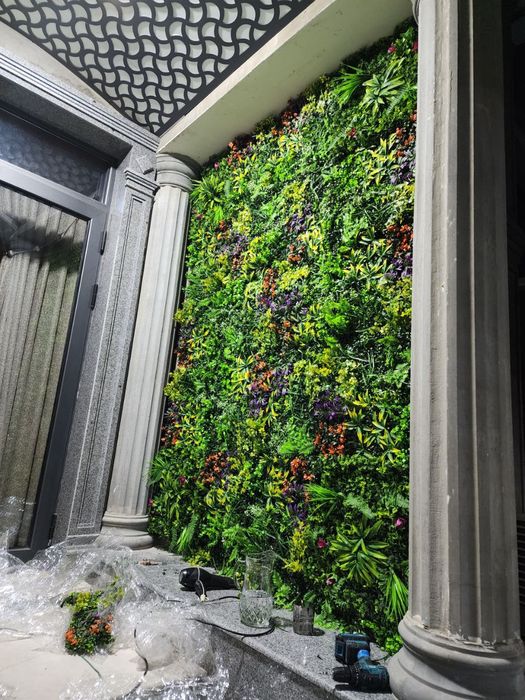 Суний газон чим фетоситина забор