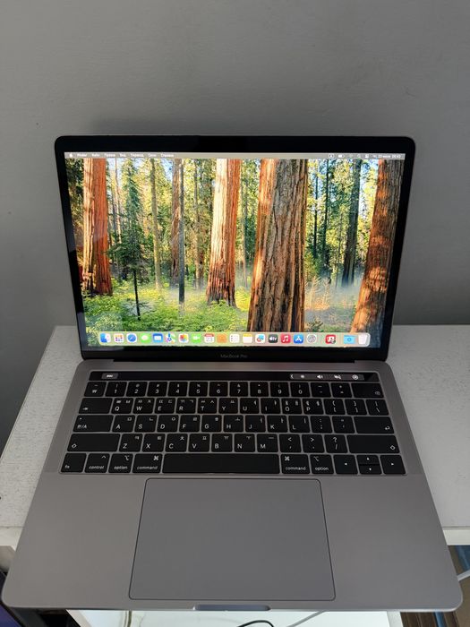 Macbook Pro 2018/8/256