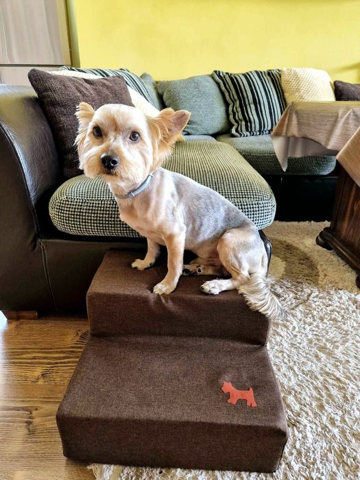 продава стълбички за домашни любимци