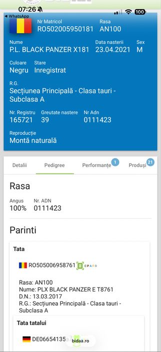 Vand sau schimb taur Angus