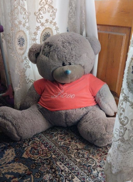 Teddi ayiq holati yaxshi