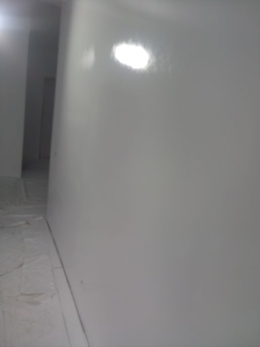 Execut zugrăveli profesionale